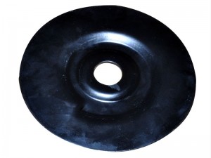 DSC 0501